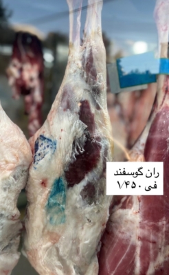 معرفی پروتئینی میلاد خوشگو در رشت